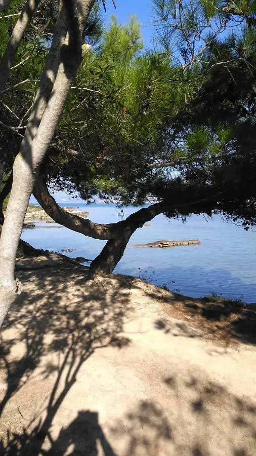 Elisso Apartment Argostoli